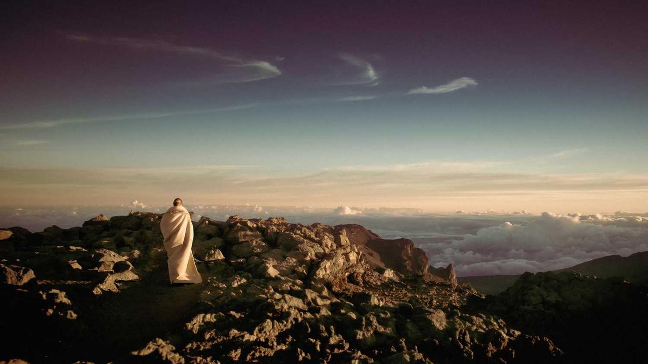 Local SEO dashboard showing Google Business Profile, reviews, and map pack rankings for a small business